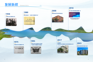发展历程