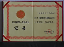2011甘肃省五一劳动奖状证书
