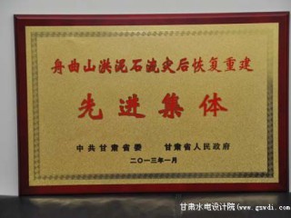 2013年舟曲先进集体