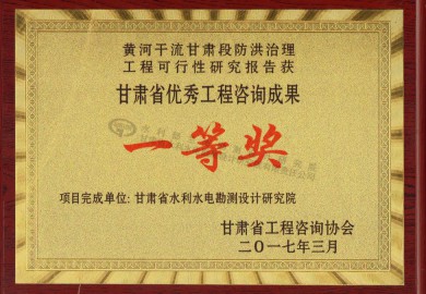 黄河干流防洪可研报告-咨询一等奖